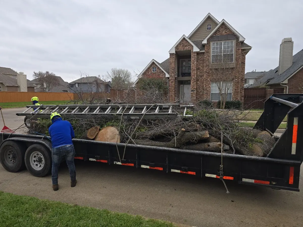 Expert Tree Fertilization with proper safety equipment in Fourmile
